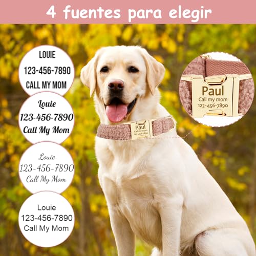 Personalisiertes Hundehalsband mit Metallschnalle, beidseitiges Halsband personalisiert mit Name und Telefonnummer, verstellbare Größen für kleine Hunde, mittel und groß (Halsband 06)