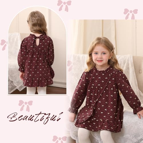 Happy Town Toddler Baby Girl Dress Ruffle Long Sleeve Floral Embroidered Dresses with Bag Fall Winter Outfit Clothes(18-24 Months,Wine Red)