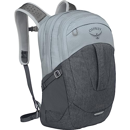 Image of Osprey Comet Laptop Backpack, Silver Lining /Tunnel Vision