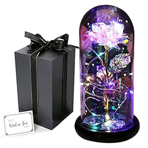 Beauty and The Beast Rose Light Up Galaxy Rose Gift for Mom Enchanted Forever Crystal Rose with Butterfly in Glass Dome Artificial Flower Unique Birthday Gifts for Her Grandma Sister Friend (Gold)