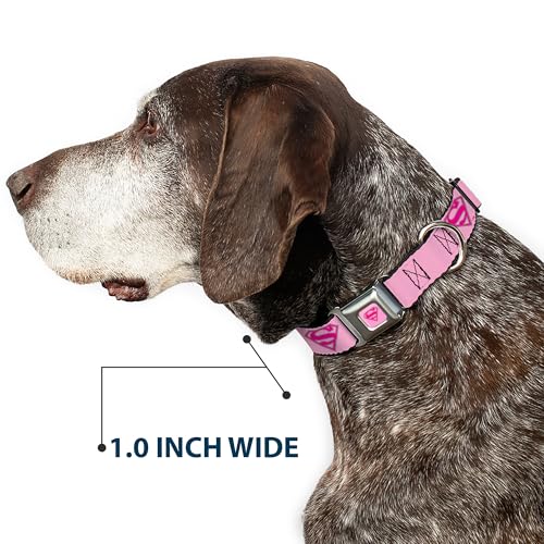 Collier de Chien Superman Shield Rose Buckle Down pour petit chien - 7