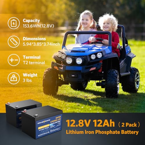 image for GOLDENMATE 12V 12Ah Lithium LiFePO4 Deep Cycle Battery 2 Pack, 5000+ C