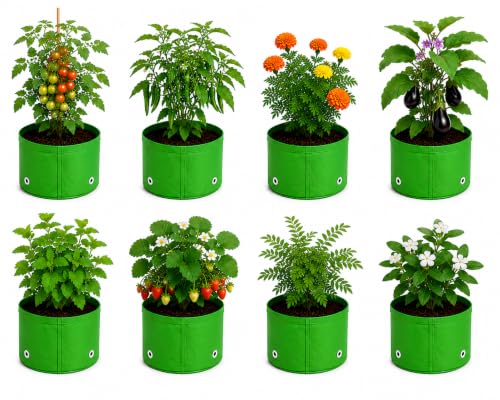 Image of Grow Bags for Terrace Gardening, Premium HDPE Green-Orange Large Planters for Fruit Trees, Vegetables, Flowers & Home Garden Pack of 8(6x6)