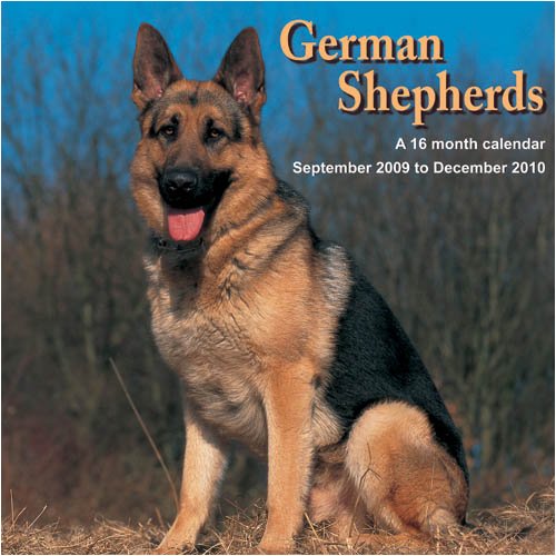 Bergers Allemands - (2010), libro sobre el perro pastor alemán