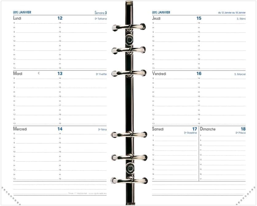 QUO VADIS Recharge Organiseur Timer 17 Horizontal 10 x 17 cm 16 mois Septembre 2026 Décembre 2027