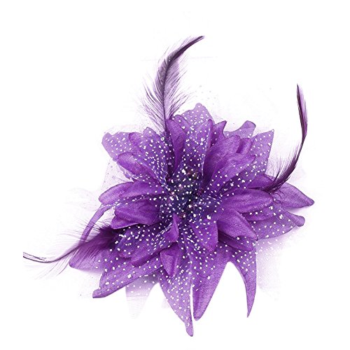 Auranso Flax Hair Clip Feather Barrette Hairpin Party Fascinator Headband Cocktail Hat for Women Girls
