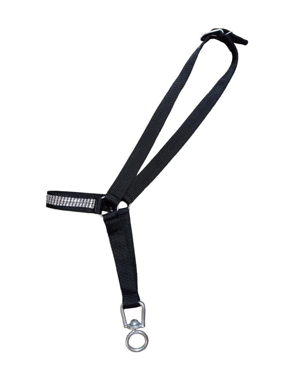 Globe International Black Cow Rope Halter Horse Rope Halter Black Color Full Size Adjustable (B09JN52SSZ) Amazon Price History, Amazon Price Tracker