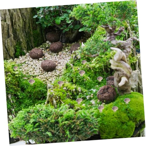 Micro Statues de Champignons BESTonZON pour Décoration de Table et Bonsaï - 5