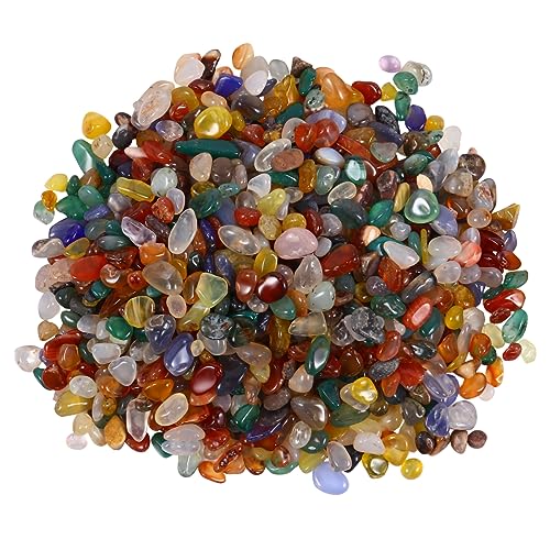 TOBBOMEY 1قVRNX^^uXg[ p F򂹌 ANAEAؔeE~͗pVRI[ig