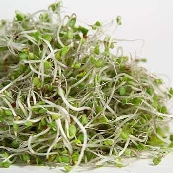 PREMIER SEEDS DIRECT - MICROGREEN/Sprouting Seeds - Broccoli RAAB - Organic (400 Grams)