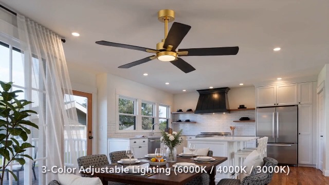 Amazon.com: Ceiling Fans with LED Lights, 52 Inch 5-Blade Ceiling