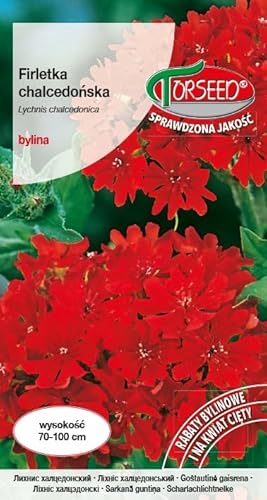 Verdica Malteserkreuz-Samen Lychnis chalcedonica – Auffällige rote Blüten, minimale Bodenanforderungen, ideal für Schnittblumen und Gruppenpflanzungen, erreicht 70-100 cm Höhe (0,5 Gramm)