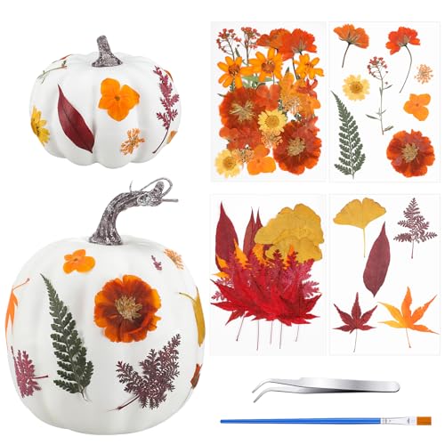 Set DIY de Calabazas Otoñales 54 Piezas Suncalla miniatura 1