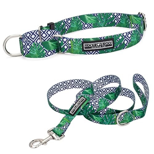 Lucky Love Dog Martingale Collar and Leash Set, Premium No Slip Martingale Collar for Large Boy...
