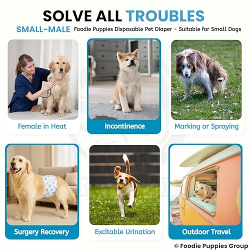 Image of Foodie Puppies Dogs Disposable Diapers for Male Dog - (12Pcs, Small) | Diaper Pants /Sanitary Cotton Underwear Nappy | Leak-Proof, Ultra-Absorbant | Daily and Travelling Purpose
