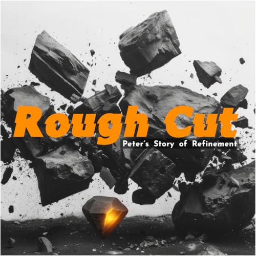 Sinking Stones | Rough Cut | Pat Lessard cover art
