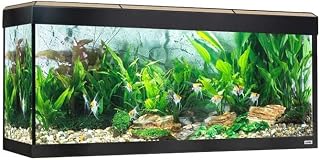 Fluval Aquarium Roma Bluetooth LED Beleuchtung 240 Liter Eiche