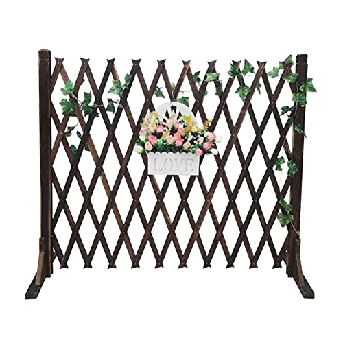Clôture de pelouse extérieure en bois et planche décorative pour animaux - 2