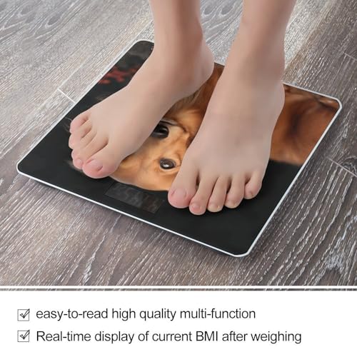 Báscula digital para baño con diseño Dachshund, vidrio templado miniatura 5