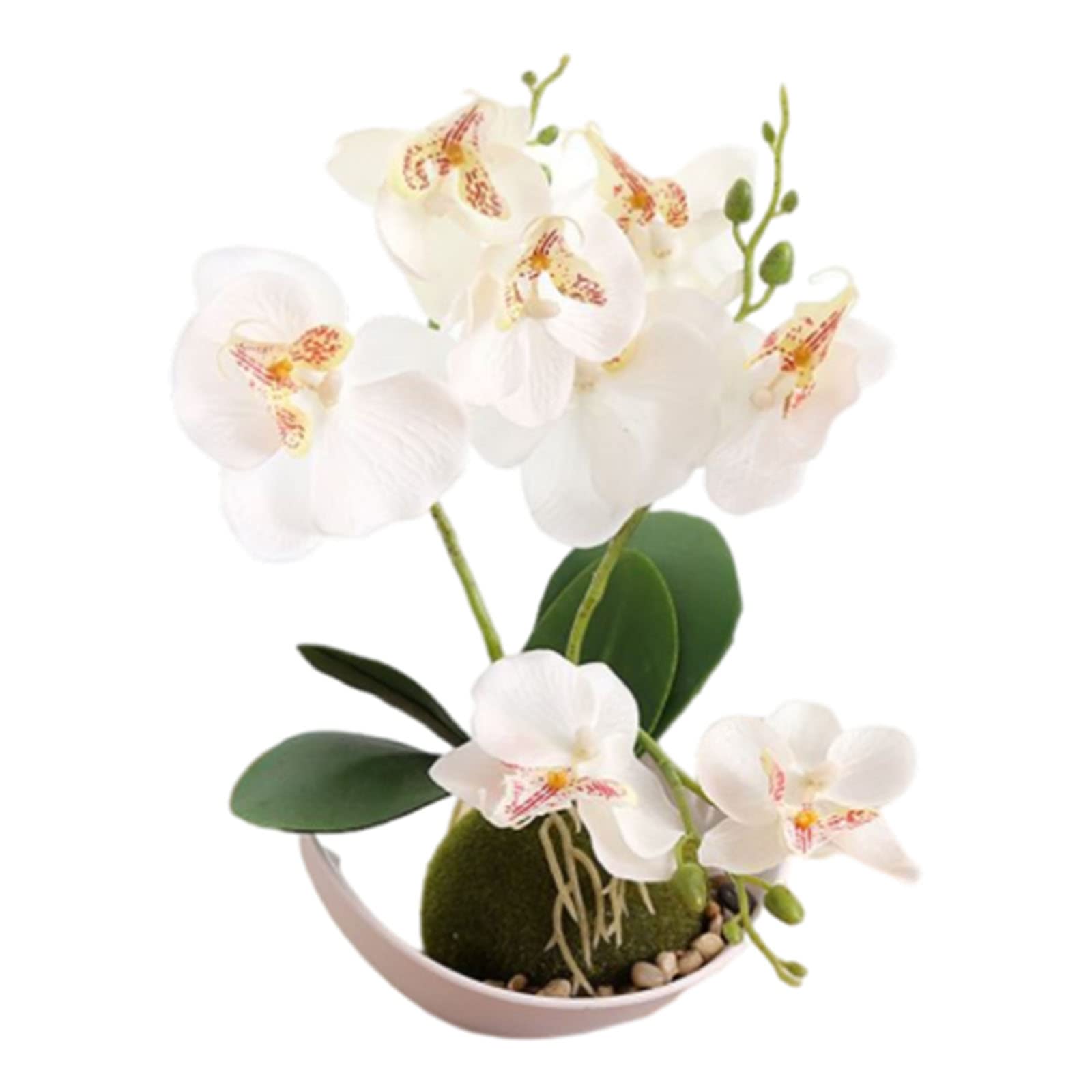 Amazon.de: 1 Stck Knstliche Lila Orchideen im Topf Grner Topf-Simulation  Schmetterling Orchidee Wohnzimmerdekoration Weie Blte 27 cm (wei)