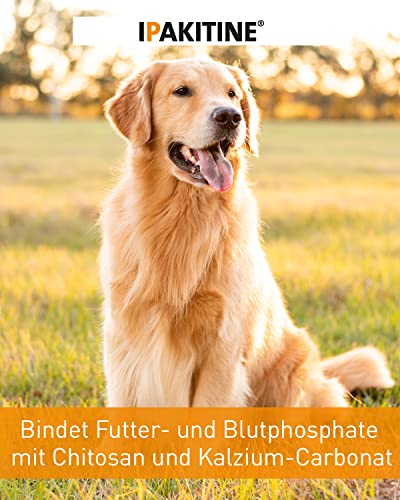 Vetoquinol Ipakitine | 300 g | Ergänzungsfuttermittel für Katzen und Hunde | Zur Unterstützung der Nieren | Bei Niereninsuffiziens | Pulver zur Einmischung in das Futter