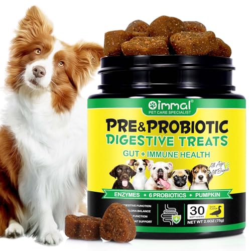 Probiotics for Dogs, Dog Digestive Health,30 Chews Probiotic