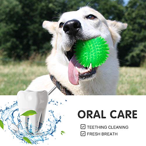 Squeaky Balls For Dogs Small, Fetch Balls For Dogs Rubber 6 Pack Bright Colors Tpr Puppy Toys Dog Toy Balls Dog Squeaky Toys Spike Ball Dog Chew Toys For Small (Set Of 3, Multi) #TOP5