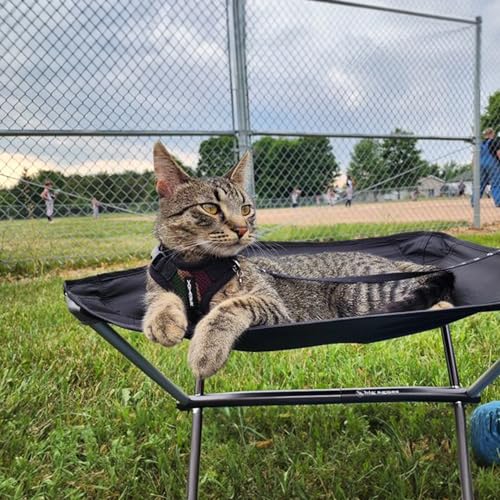 Image of Voyager Escape-Proof Step-in Lock Cat Harness & 5ft Neoprene-Handle Leash Set All-Weather Mesh with Reflective Stitching for Small to Large Cats by Best Pet Supplies, Army /Black Trim, XXS