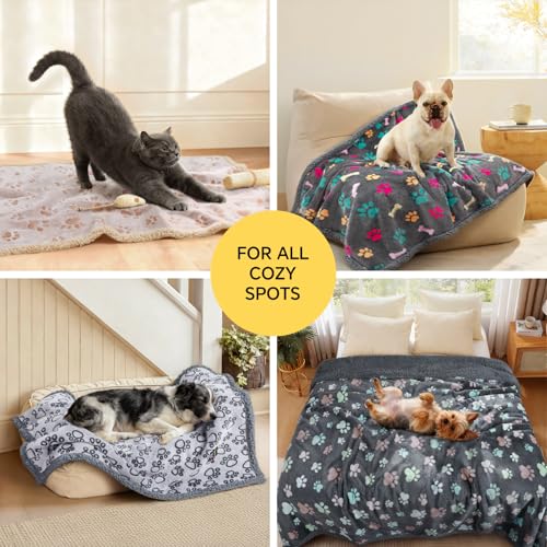 Image of Luciphia Waterproof Pet Blankets for Couch Sofa Bed Cover Cat Liquid Pee Proof Washable Soft Fluffy Large Dog Blanket Reversible Furniture Protection Puppy Grey Bone Thicken Small(40 inch x 28 inch)