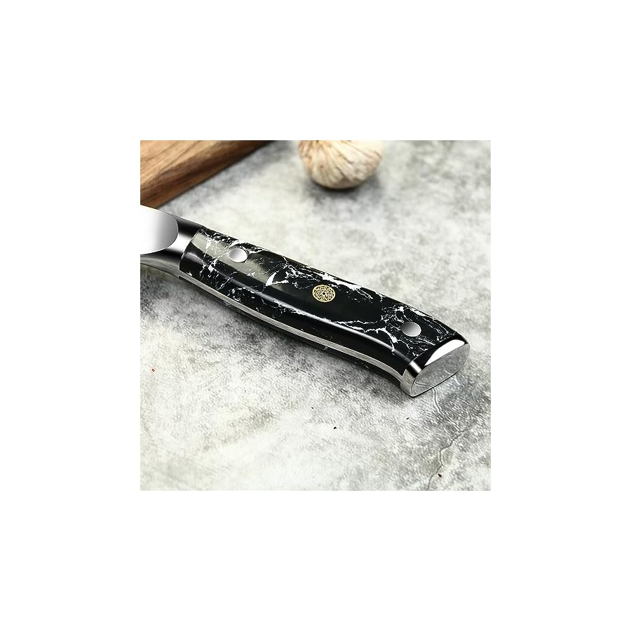 Seido Knives Takoizu 8" Gyuto Chef Knife - Black Damascus Steel with VG-10 Super Steel Blade and Strong Turquoise Black Handle