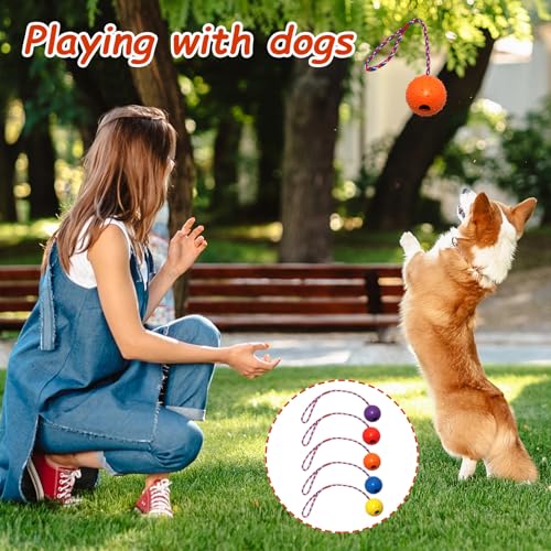Zyluniy 5 Stück Wurfball Hund Hundespielzeug, ø 5 X 30cm Hundeball mit Schnur, Naturkautschuk Ball für Hunde, wurfspielzeug Hund für Große & Kleine Hunde Werfen