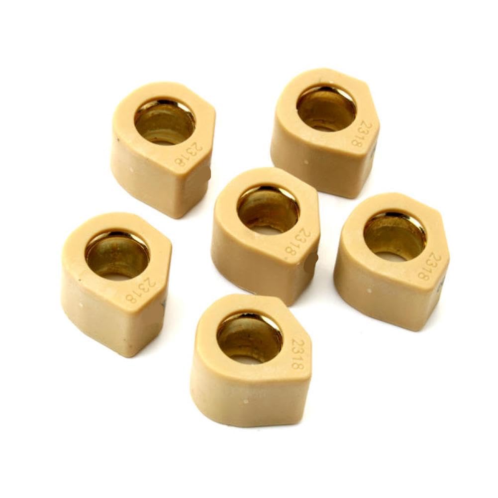 Set Pesi Variatore Corsa 6 Pezzi 23x18mm 19.2g 20g Compatibile Con X9 250cc Scooter (23x18mm 20g)