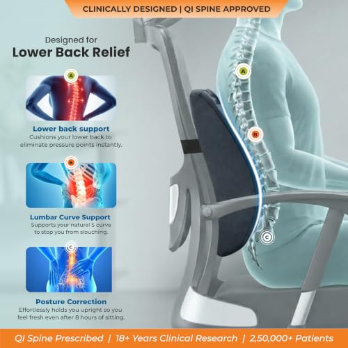 Image of Orthosit Orthopedic Lumbar Support | 5-Yr-Warranty | Back Support Cushion | Back Pain Relief| (Grey - Set of 2)