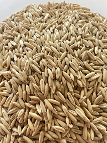 Aa Plus Shop Premium Triple Cleaned Whole Oats, Horse Feed, Garden Grass Growing And Mushroom Growing, 10Lb Bag #TOP2