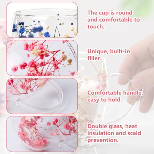 Verres à double paroi de 350 ml haut de gamme ornés de véritables fleurs séchées