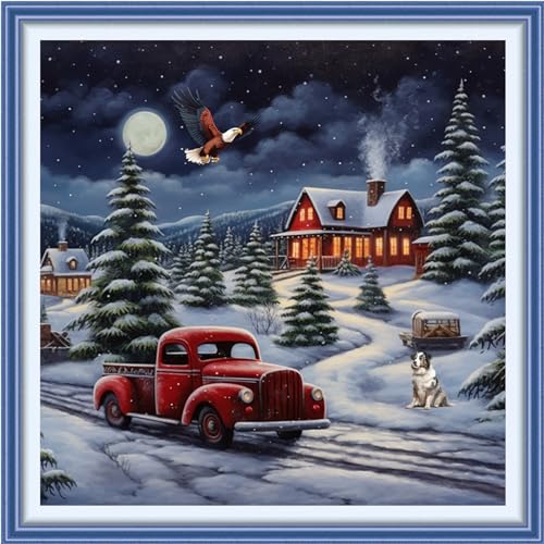 Image of Funxvoot Stamped Cross Stitch Kits Beginners Full Range of Embroidery Kits for Adults 11CT Embroidery Patterns Needlepoint Kits Printed Cross Stitch Kits - (Christmas Night Scenery 18x18 inchs)