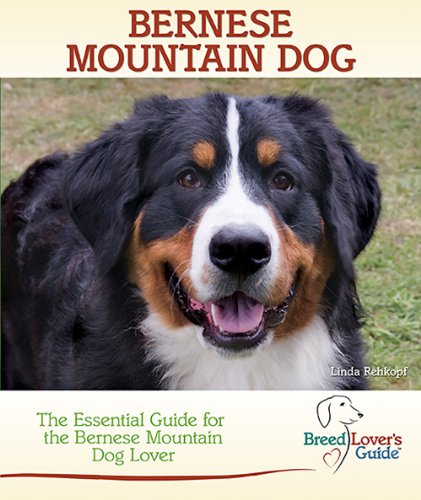 bernese mountain dog lovers