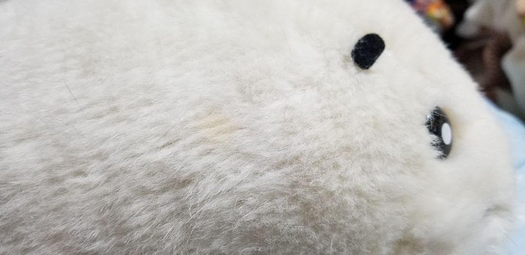 Amazon.co.jp: タグなし 少年アシベ キューキューゴマちゃん