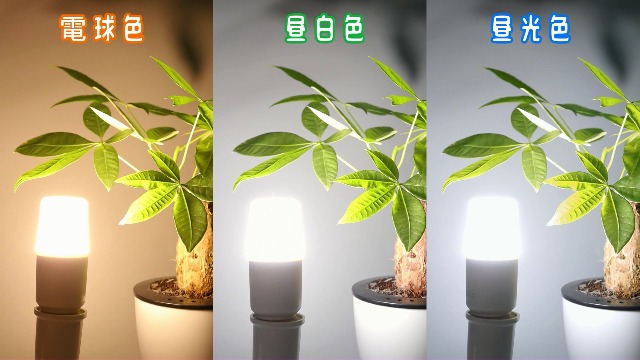 Amazon | T形タイプ led電球 E26口金 60W形相当 6.7W 昼光色 1099lm 全