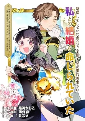 婿探しをしていた夜会で、宰相子息が婚約破棄され私との結婚を