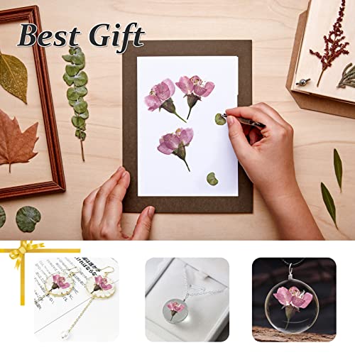 Flores de Cerezo Secas Prensadas, 60 Piezas miniatura 6