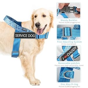Service dog harness no pull dog harness with handle adjustable velcro patches service dog in training do not pet easy control for small medium large breed outdoor walking hiking blue l   cucciolini doodles