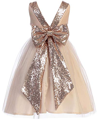 Little Girls Sleeveless Tulle Holiday Christmas Thanksgiving Flower Girl Dress2