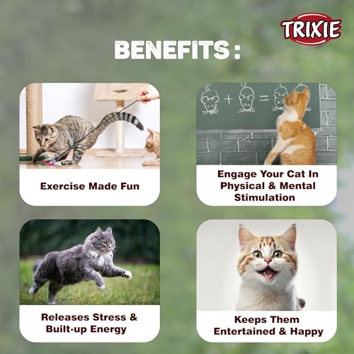 Image of TRIXIE Cat Fishing Rod Toy with Plush Mouse, Interactive Teaser Stick for Cats, Play Activity Accessory for Exercise, Hunting Instinct Training and Fun