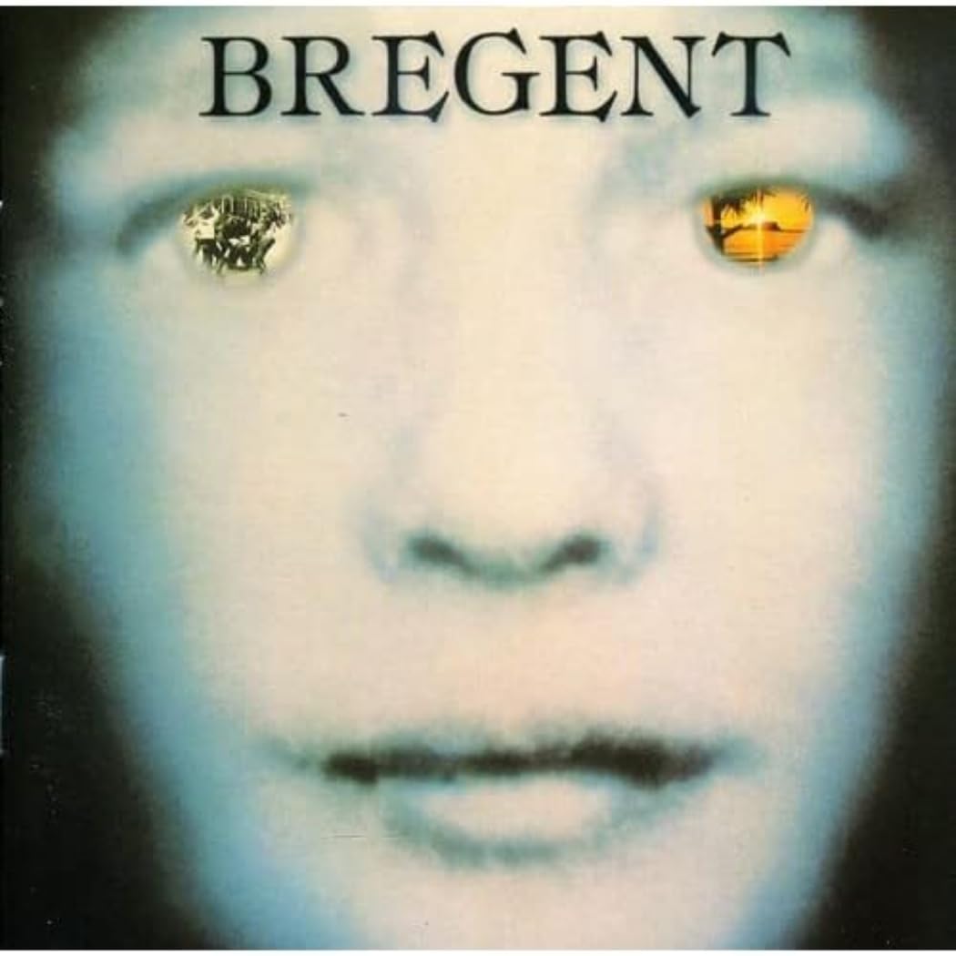 Partir Pour Ailleurs [Audio CD] Bregent