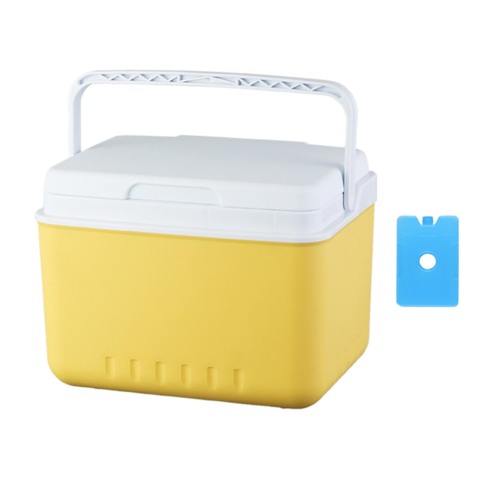 Nevera Portátil Isotérmica, Organizador, Contenedor, Refrigerador, Cubo para Bebidas, Estuche para Camping, Pesca Y Barbacoa.