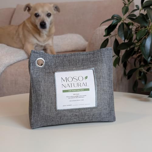 Moso Natural charcoal odor absorber bag displayed in front of a sofa and dog