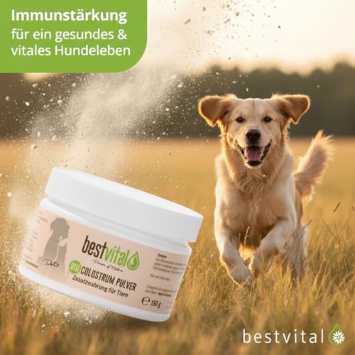 Bio Colostrum Pulver für Hund & Katze (150g) | Stärkt Immunsystem & Vitalität | Ideal für Magen, Darm & bei Allergie | Welpen & Senior | Immunbooster aus 100% Erstmilch