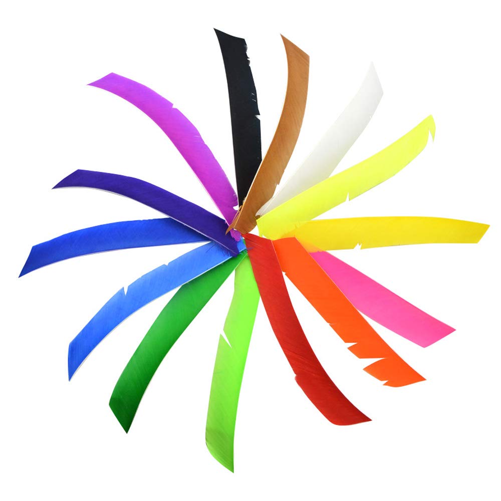 SHARROW 50pcs Chasse Plume de Flèche Naturelle Pleine Longueur Spirale Enveloppé Fletches Fletching Flèche Plume de Dinde