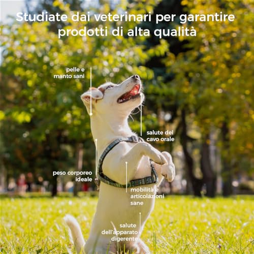 Hygge-Dog-Biscotti-per-Cani-Buonanotte-Biscottini-100-Naturali-gusto-Camomilla-Valeriana-Premietti-Cane-adatti-ideali-per-Addestramento-Tutte-le-taglie-ed-eta-Scorta-per-1-mese-100-gr